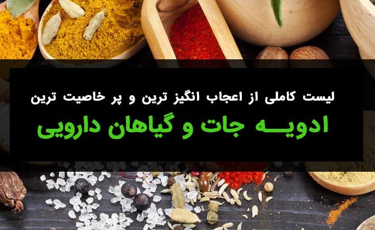 لیست کامل ادویه جات و گیاهان دارویی