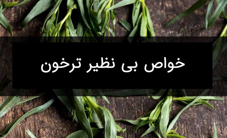 خواص ترخون