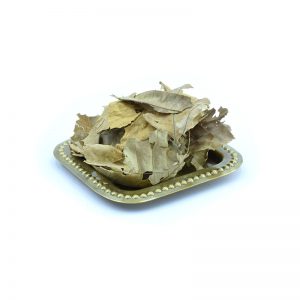برگ گردو